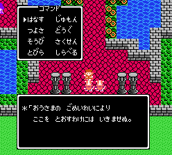 王様のご命令によりここを通すわけにはいきませぬ
