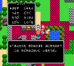お姫様を見に来たのか？
