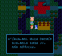 あたし本当は姫様じゃないの