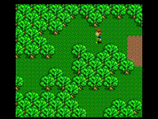 オークが現れたオークが現れた