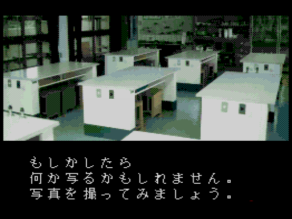 もしかしたらなにか写るかも