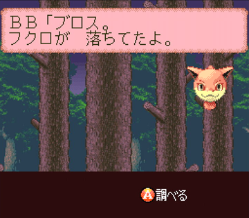 BUSHI青龍伝_袋が落ちてたよ
