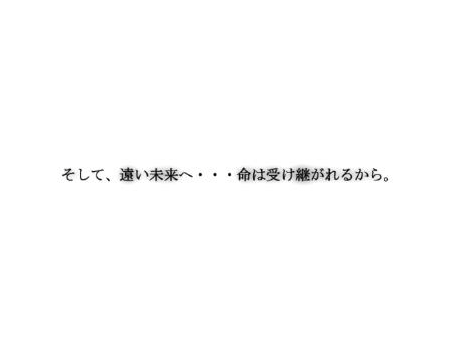 斑鳩_