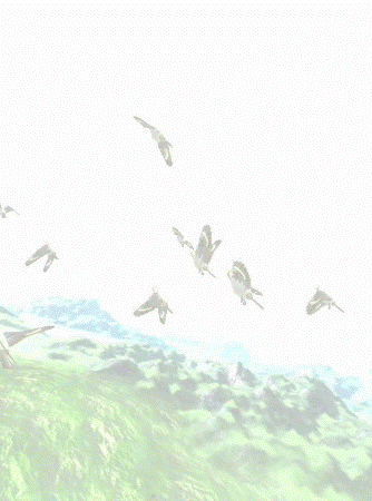 斑鳩_エンドロール